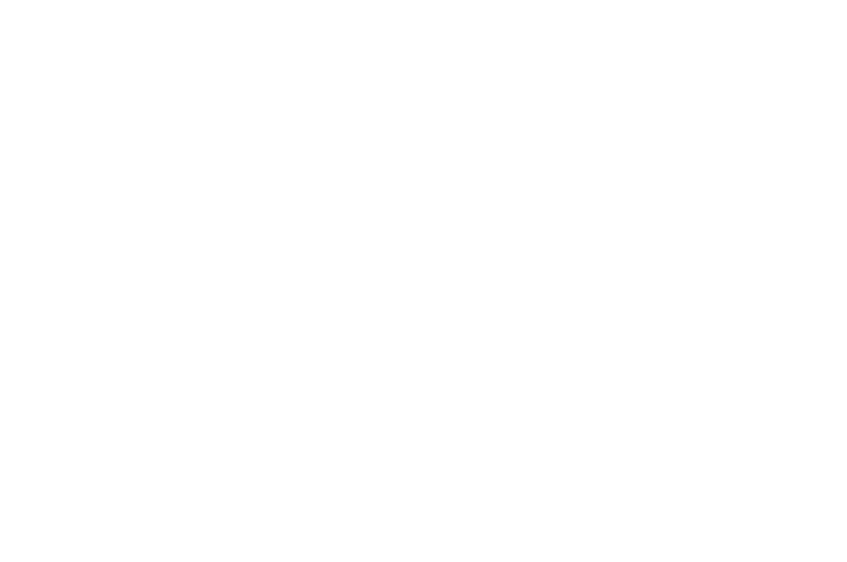 Official Selection &mdash; New York Monthly Film Festival 2025